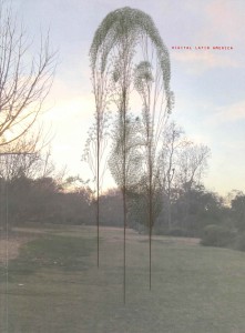 Digtial Latin America