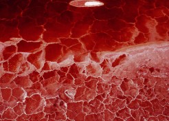 MAISEL_LAKE_PROJECT_03