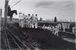 <b>Danny Lyon</b> (American, b. 1942), <em>USA. Huntsville, Texas. 1968. Ferguson is a prison farm for young men, ages 17 to 21. The line.</em>, Gelatin silver print, 8 3/16 x 12 1/4 inches , Courtesy of the Fine Arts Library, University of New Mexico, © Danny Lyon and Magnum Photos</em></b>